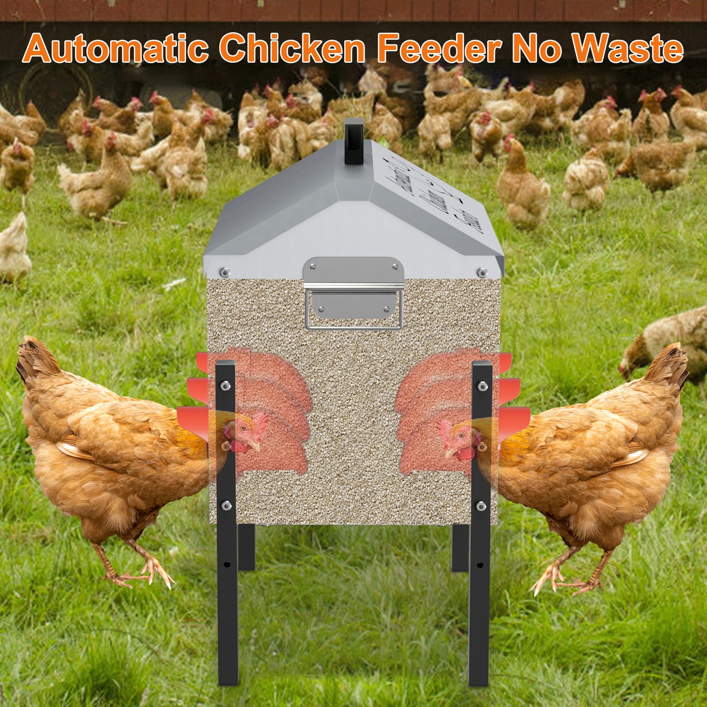 50LB Automatic Chicken Feeder, Metal Chicken Feeder with Window, No-Waste Poultry Feeder with 8 Feeding Ports, Adjustable Height, Locking Lid & Weatherproof Design for Outdoor Coop